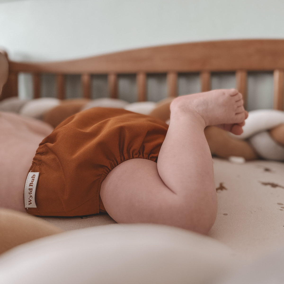 Reusable Cloth Diapers | 4-Pack
